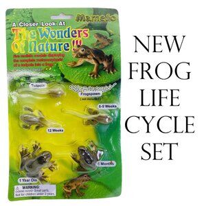 Tadpole to Frog Morphosis Life Cycle Science STEM Toys Set Kit BRAND NEW